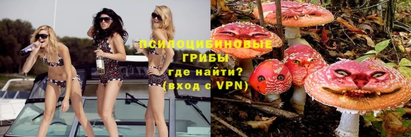 шишки Нягань