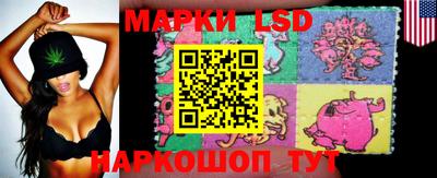 spice Балашиха