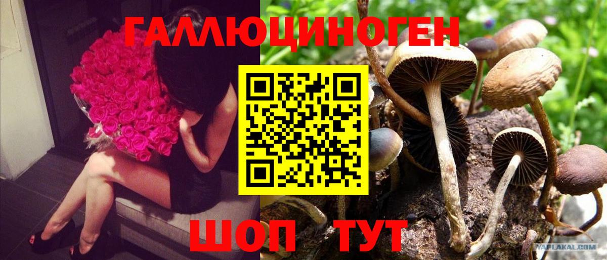 Касимов  Галлюциногенные грибы мухоморы  Вход с VPN 