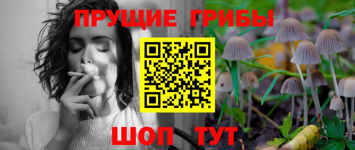 Галлюциногенные грибы Psilocybe  Касимов  Псилоцибиновые грибы мухоморы 