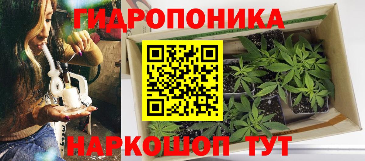 Шишки марихуана ГИДРОПОН Касимов